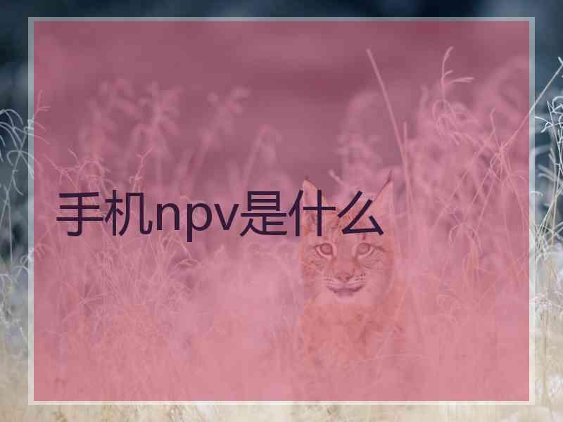 手机npv是什么