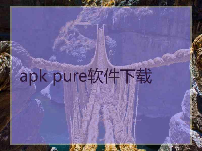 apk pure软件下载