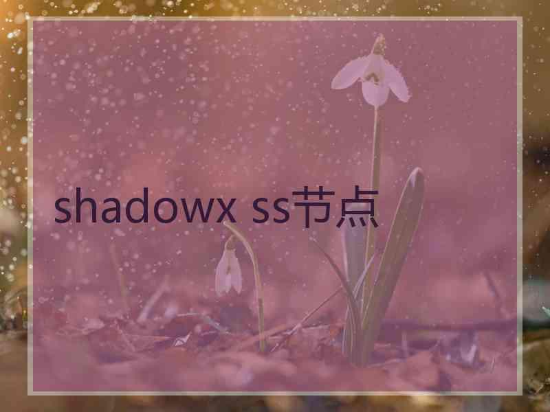 shadowx ss节点