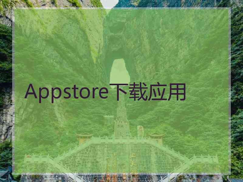 Appstore下载应用