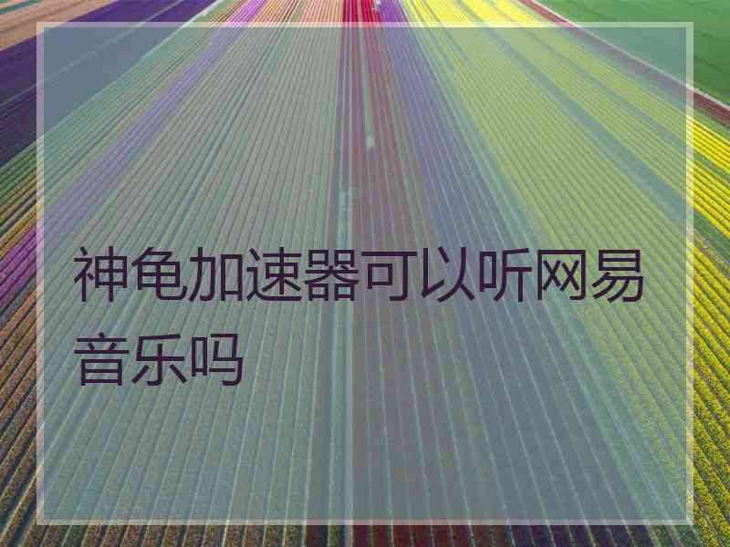 神龟加速器可以听网易音乐吗