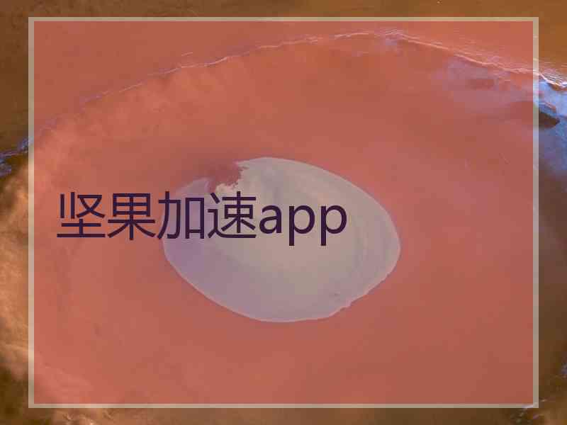 坚果加速app