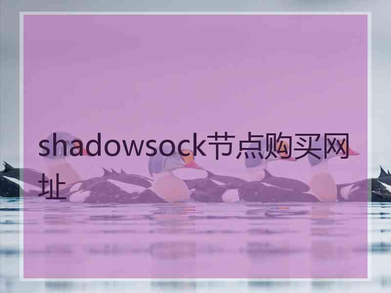 shadowsock节点购买网址