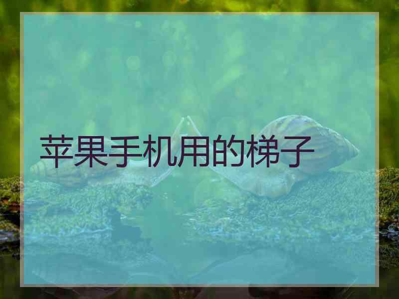 苹果手机用的梯子