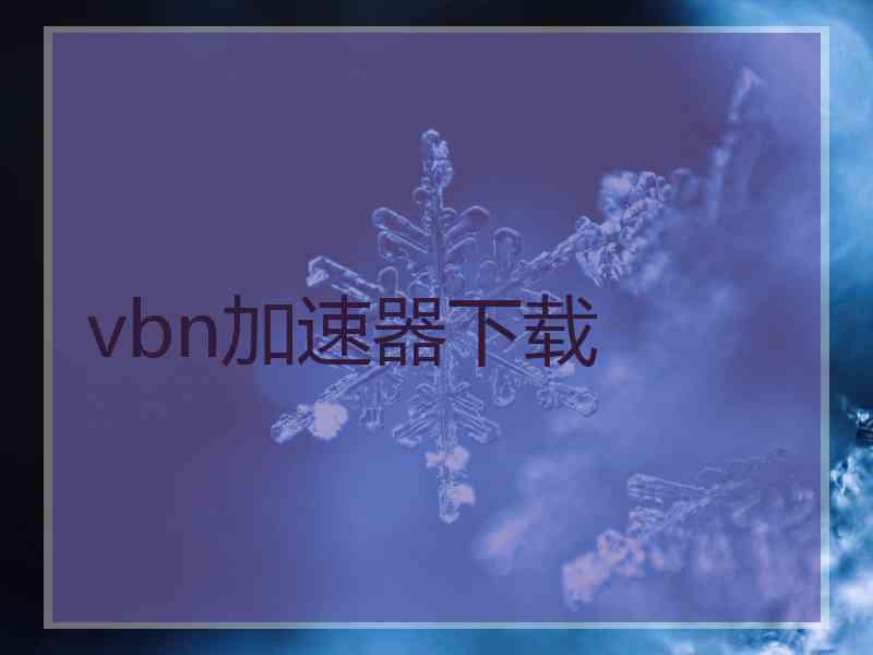 vbn加速器下载