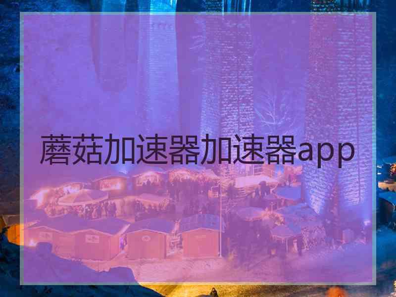 蘑菇加速器加速器app