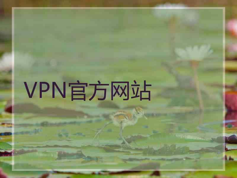 VPN官方网站