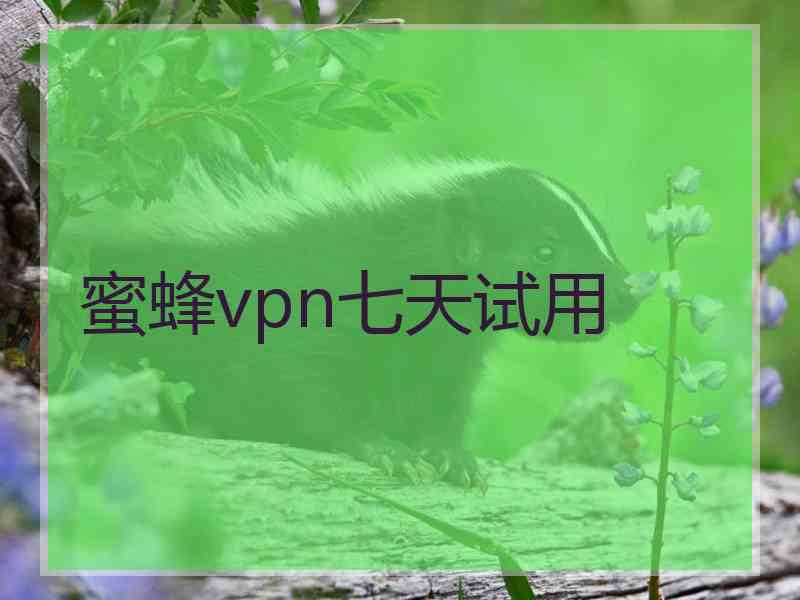 蜜蜂vpn七天试用