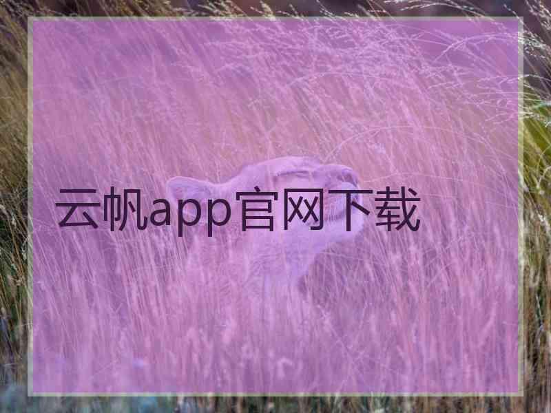 云帆app官网下载