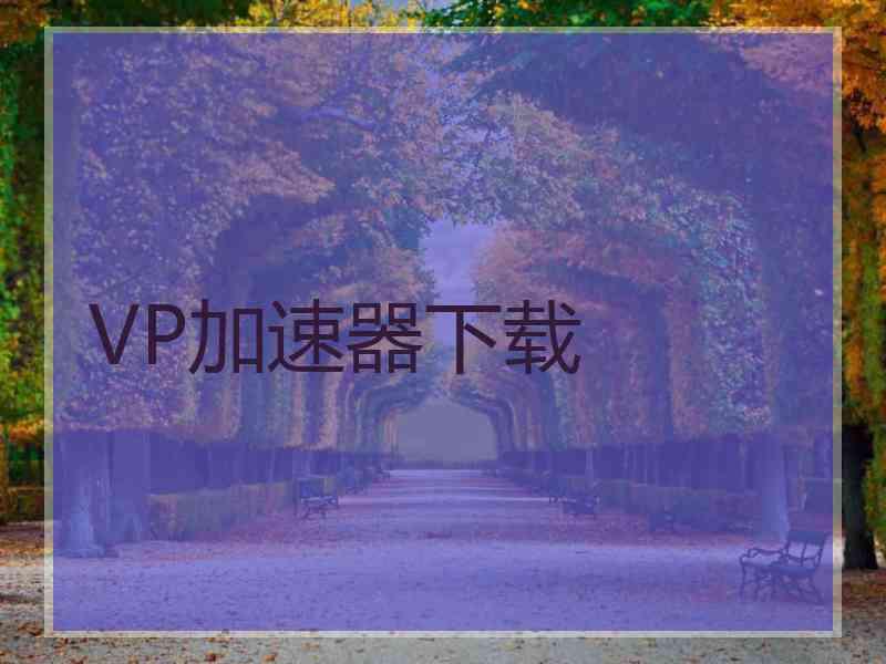 VP加速器下载