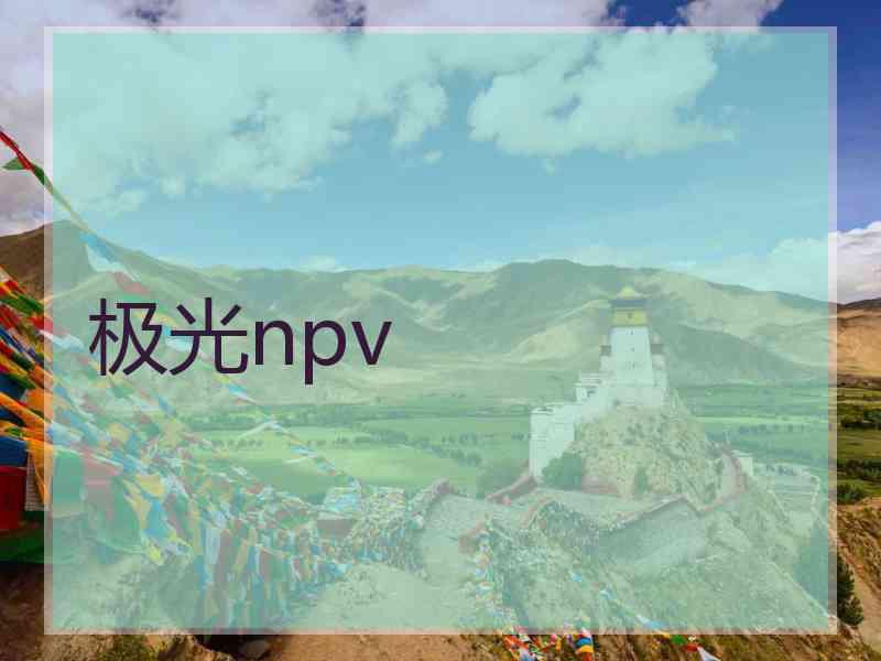 极光npv