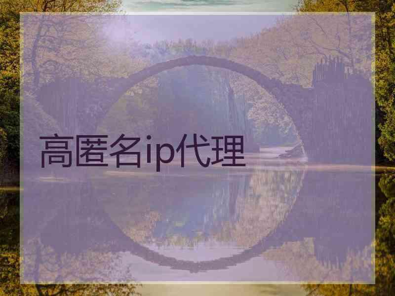 高匿名ip代理