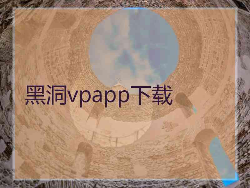 黑洞vpapp下载