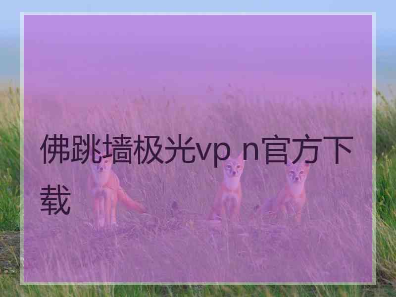 佛跳墙极光vp n官方下载