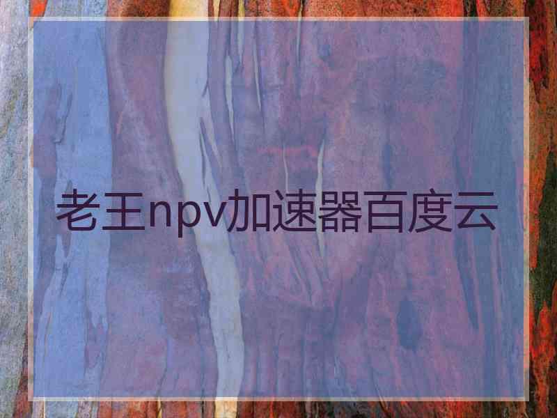 老王npv加速器百度云