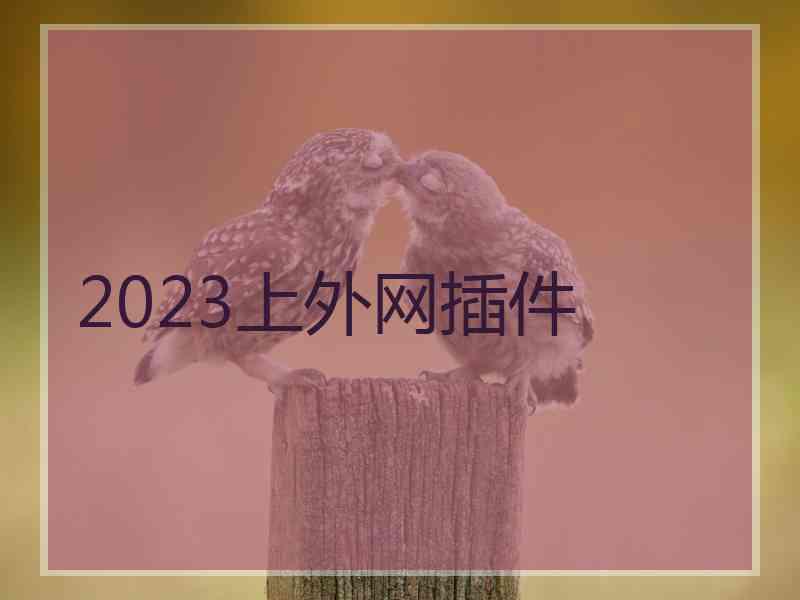 2023上外网插件