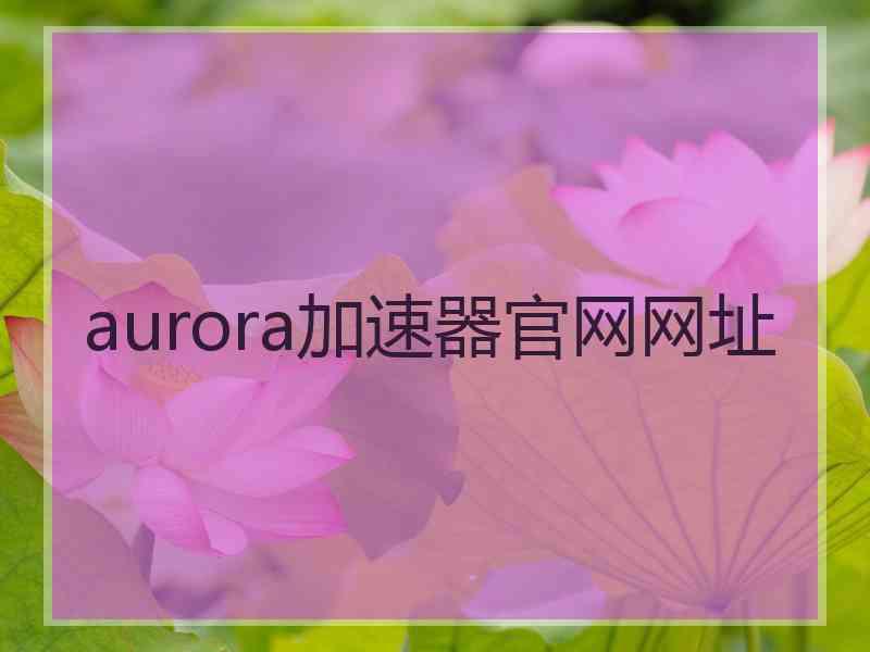 aurora加速器官网网址