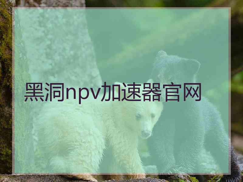 黑洞npv加速器官网