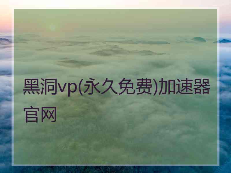 黑洞vp(永久免费)加速器官网