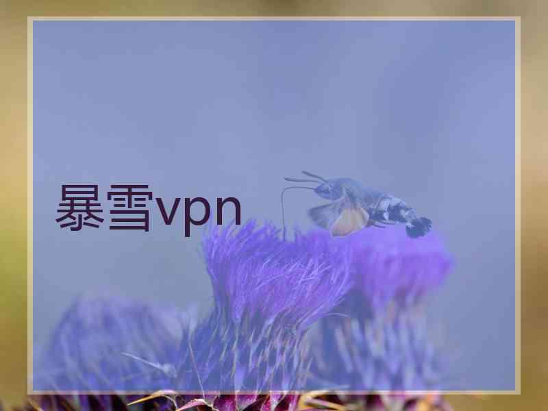 暴雪vpn