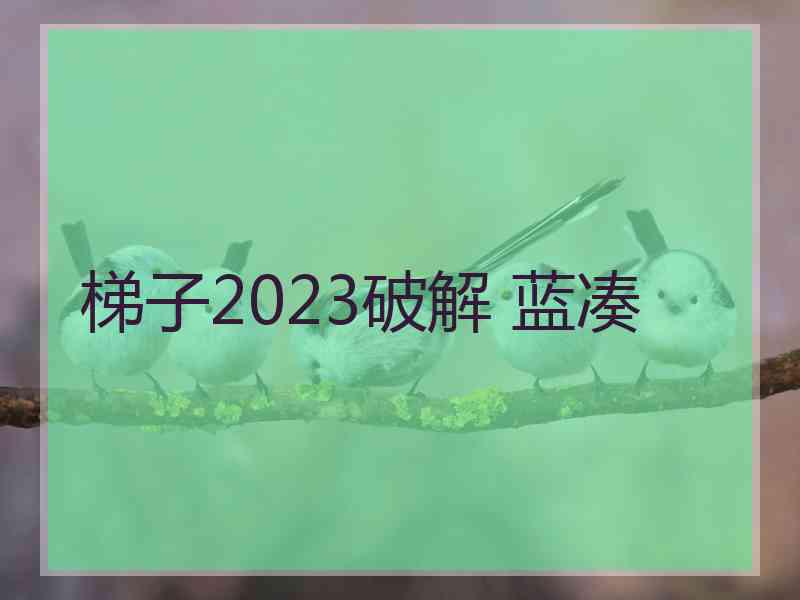 梯子2023破解 蓝凑