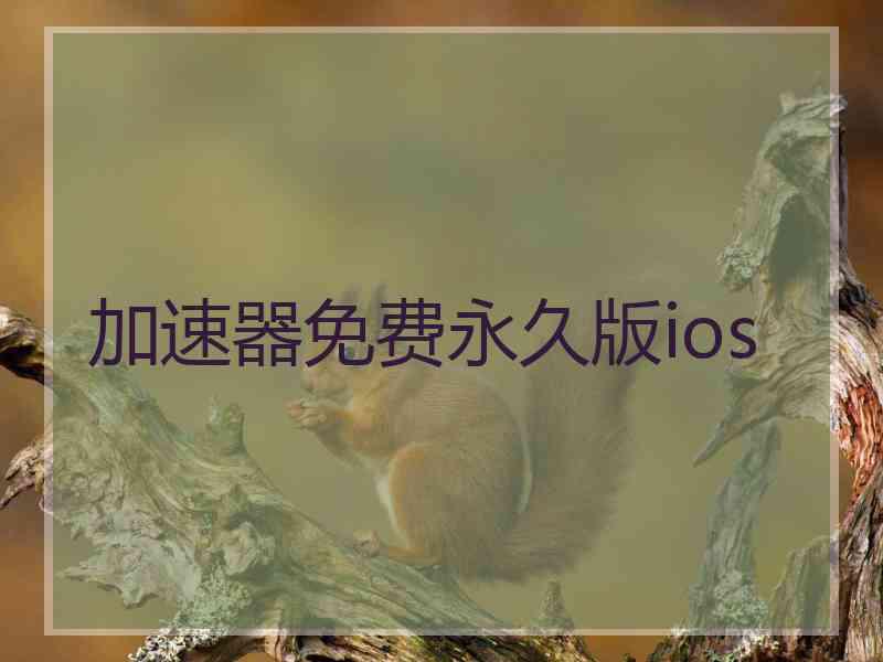 加速器免费永久版ios