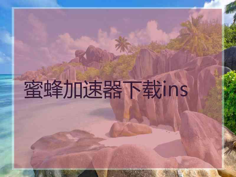 蜜蜂加速器下载ins