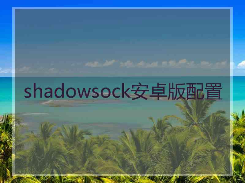 shadowsock安卓版配置