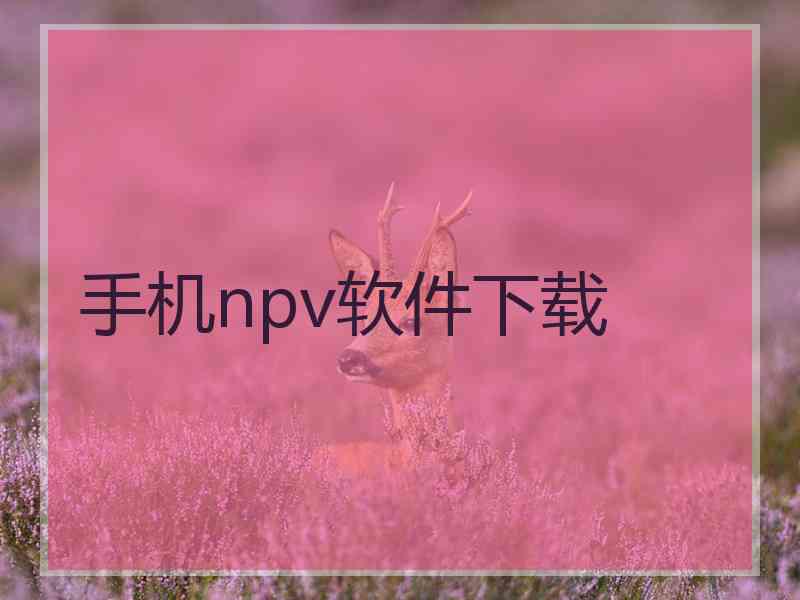 手机npv软件下载