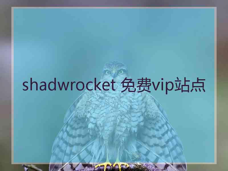 shadwrocket 免费vip站点