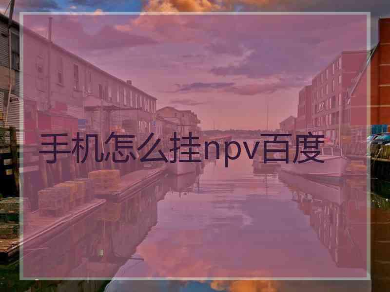 手机怎么挂npv百度