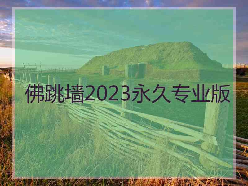 佛跳墙2023永久专业版