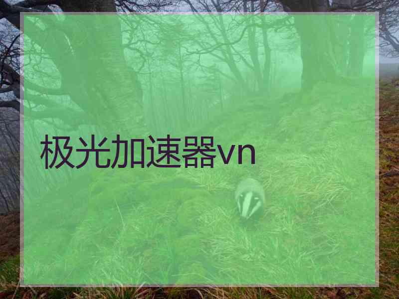 极光加速器vn