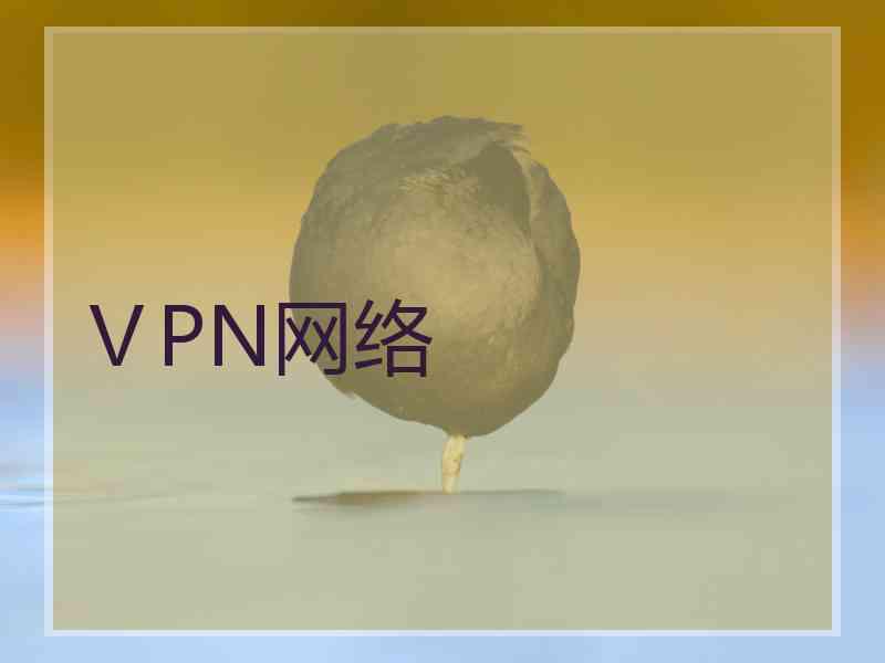 ⅤPN网络