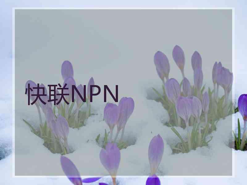 快联NPN