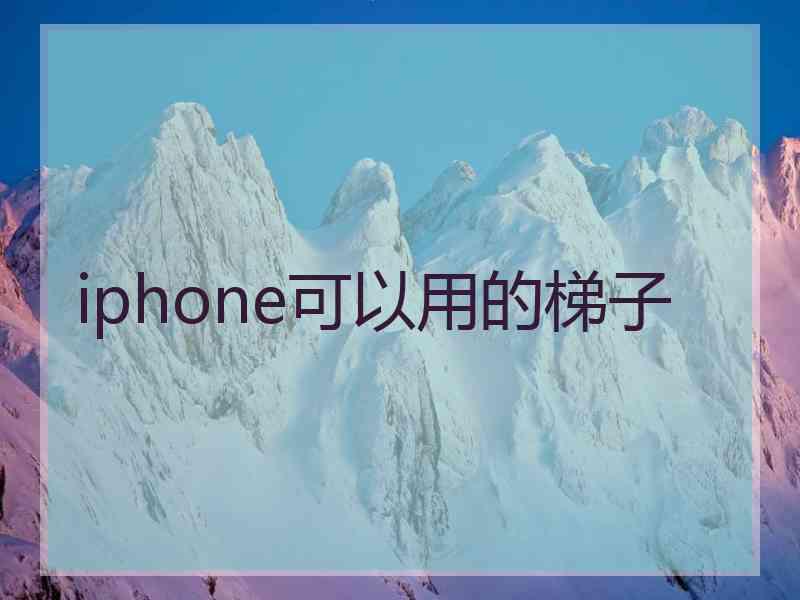 iphone可以用的梯子