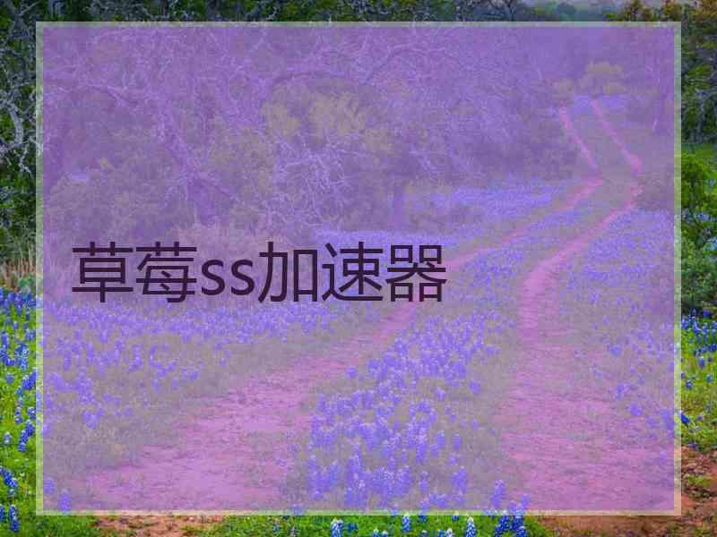 草莓ss加速器