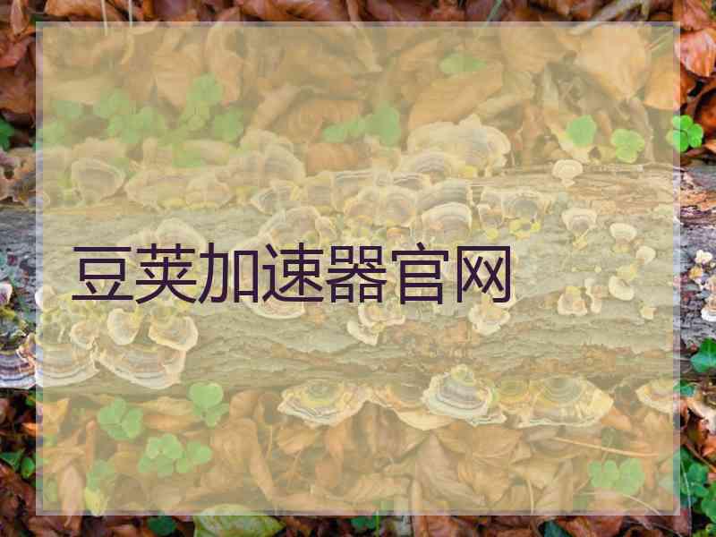 豆荚加速器官网