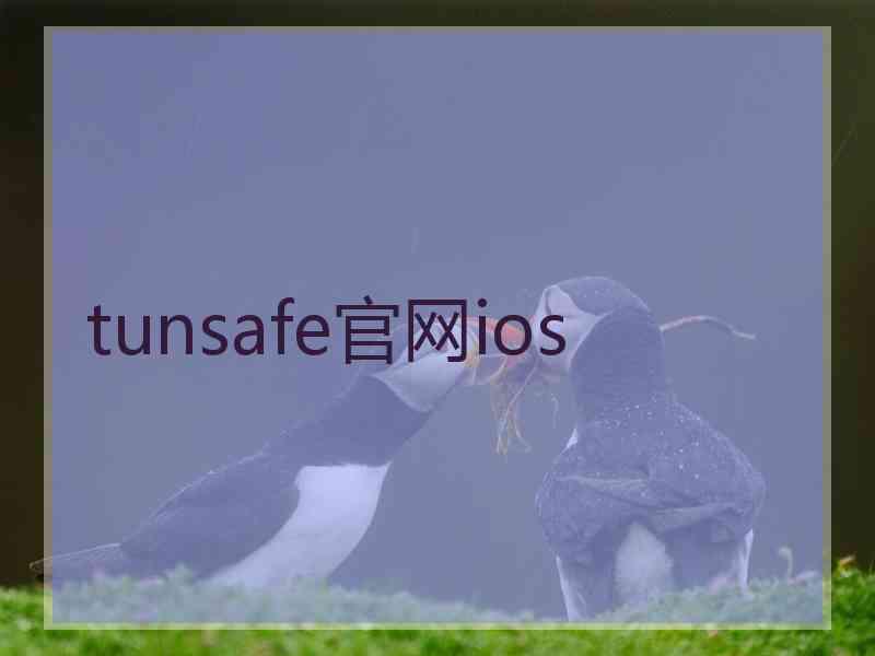 tunsafe官网ios