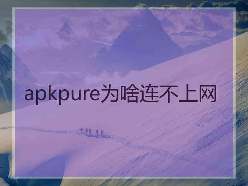 apkpure为啥连不上网