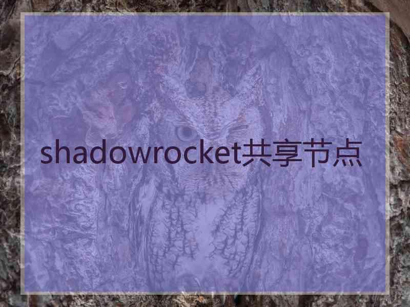 shadowrocket共享节点