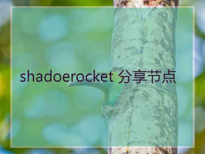 shadoerocket 分享节点