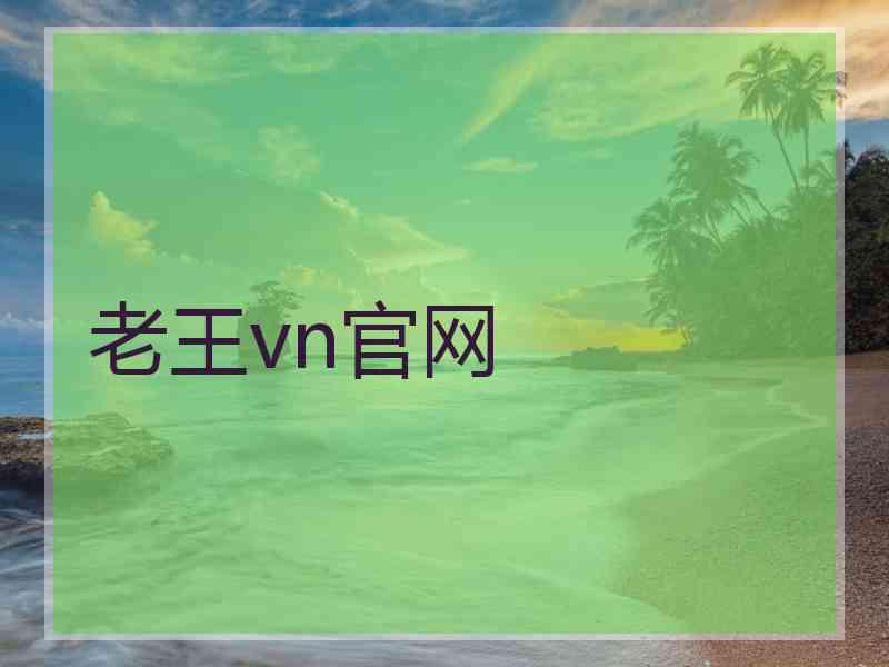 老王vn官网