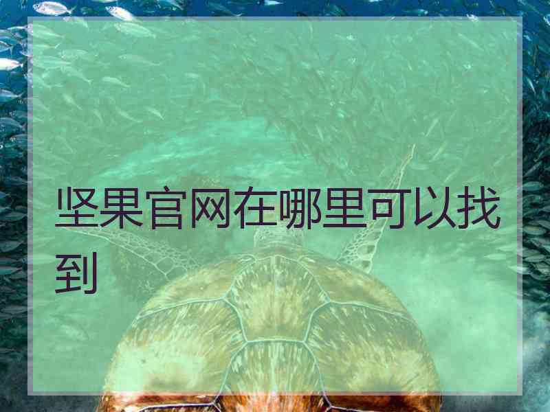 坚果官网在哪里可以找到