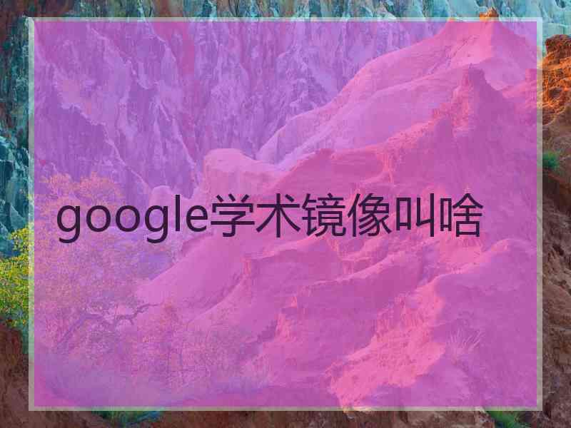 google学术镜像叫啥