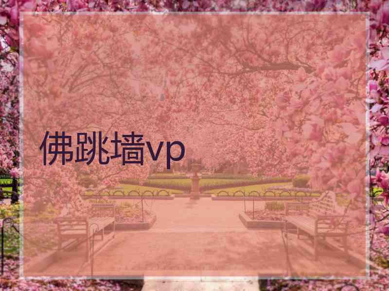 佛跳墙vp