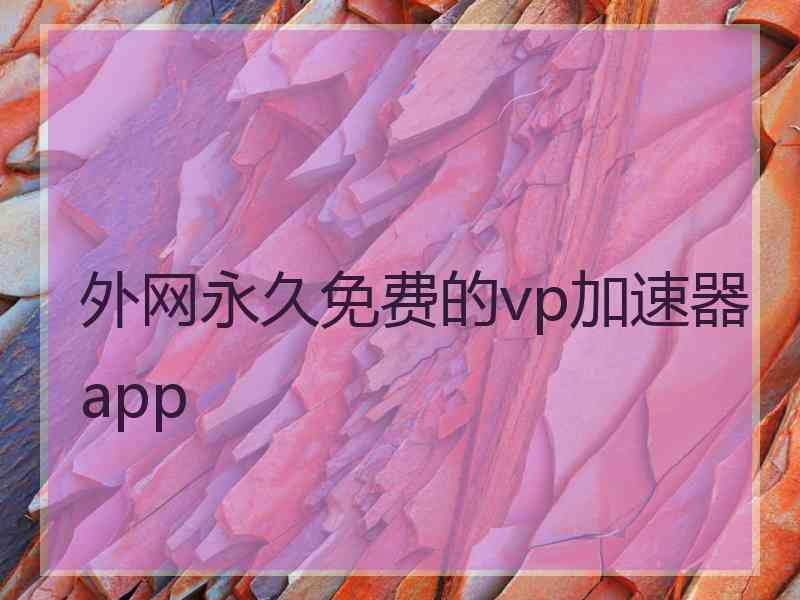 外网永久免费的vp加速器app