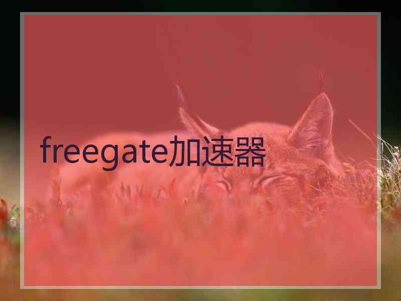 freegate加速器