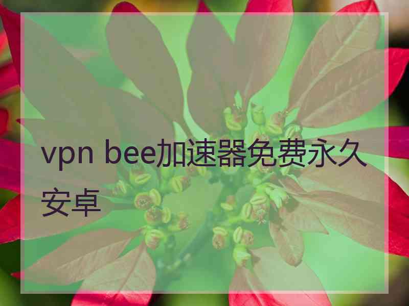 vpn bee加速器免费永久安卓