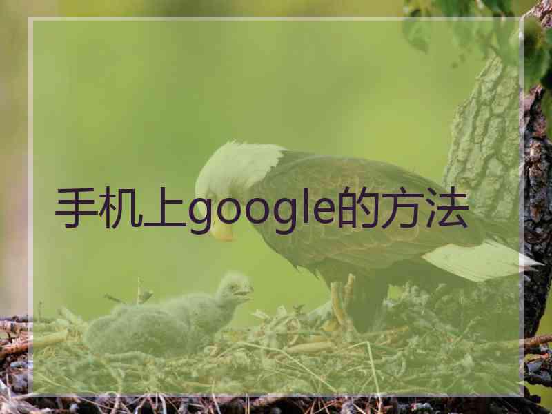 手机上google的方法